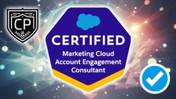 Salesforce Certified Marketing Cloud Account Engagement Consultant Certification Practice Exam